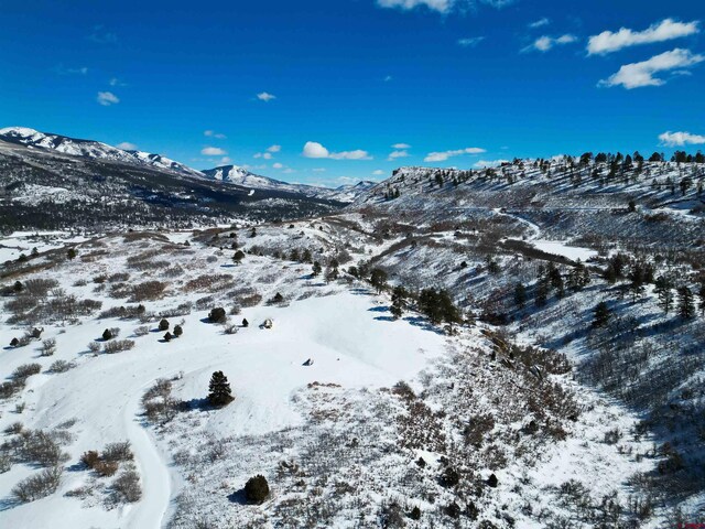 8350 Rd 46, Mancos, CO 81328