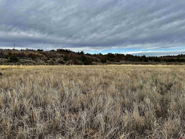 Listing photo 2 for 000 T5 Rd, Dolores CO 81323