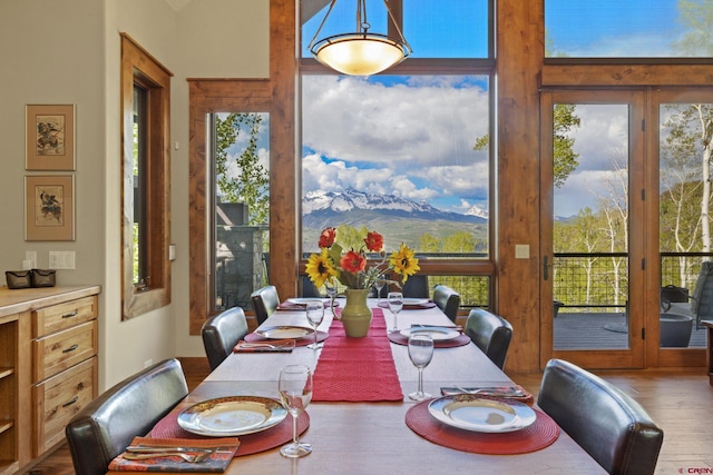 dining room featuring a wall of windows, wood finished floors, and a healthy amount of sunlight