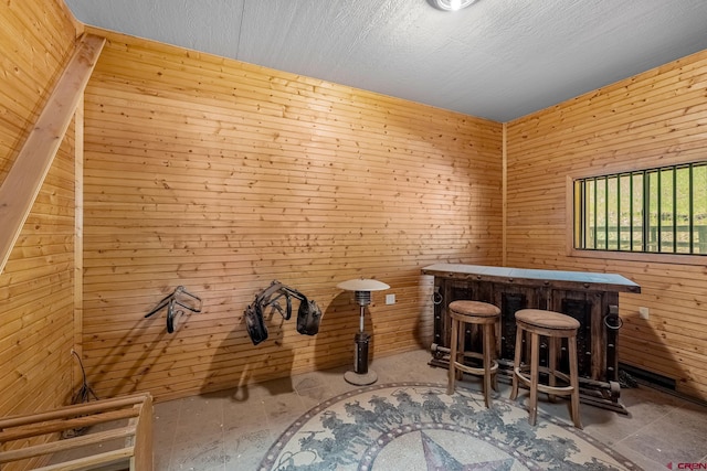 bar featuring a bar and wooden walls