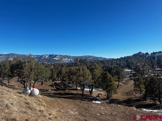 132 White Tail Pl, Arboles CO, 81121 land for sale