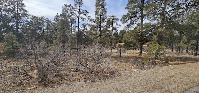 97 E Golf, Pagosa Springs CO, 81147 land for sale