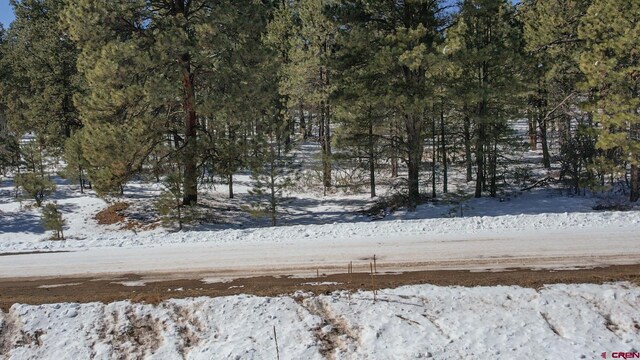 540 Hills Cir, Pagosa Springs CO, 81147 land for sale