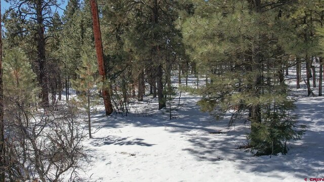 540 Hills Cir, Pagosa Springs, CO 81147