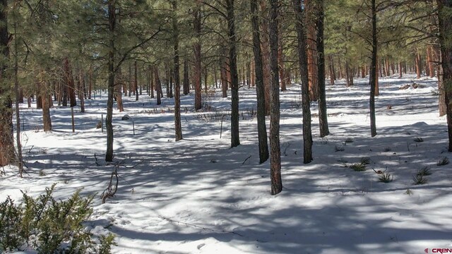 540 Hills Cir, Pagosa Springs, CO 81147