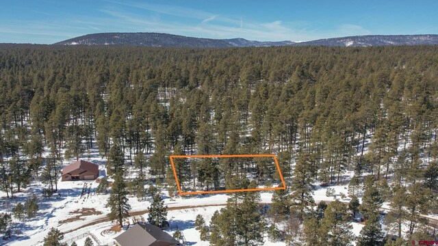540 Hills Cir, Pagosa Springs, CO 81147