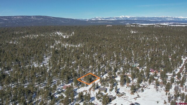 540 Hills Cir, Pagosa Springs, CO 81147
