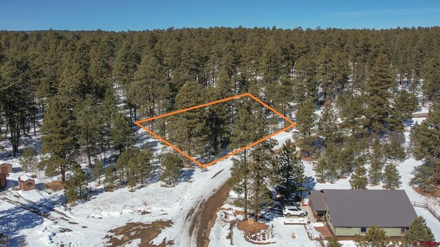 540 Hills Cir, Pagosa Springs, CO 81147