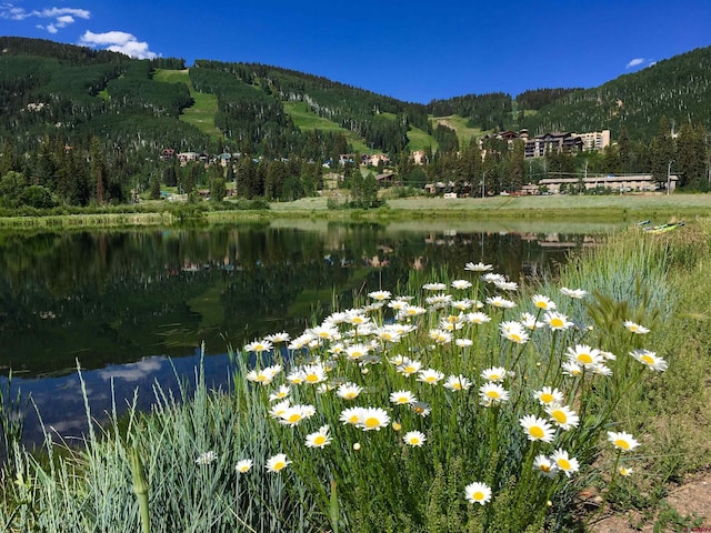 property view of water with a mountain view and a wooded view