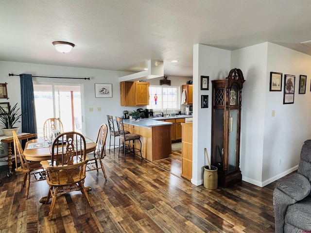 dining room featuring dark wood finished floors, plenty of natural light, and baseboards