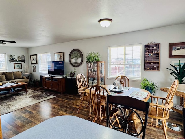 dining space with ceiling fan and dark wood finished floors