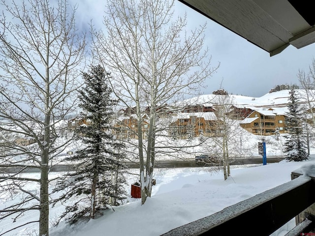 view of yard layered in snow