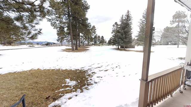 view of snowy yard