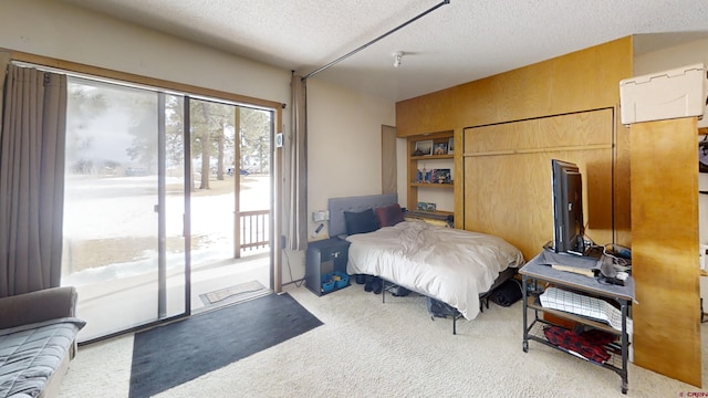 bedroom featuring access to outside, light carpet, and a textured ceiling