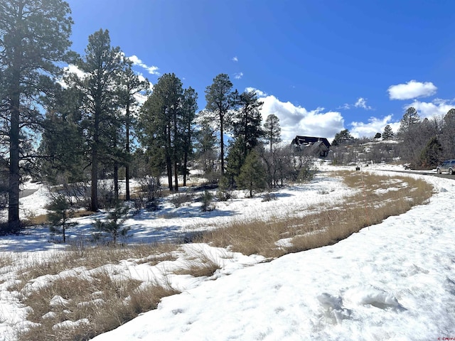 184 Clint Cir, Pagosa Springs CO, 81147 land for sale