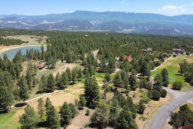 1640 Marmot Dr, Ridgway CO, 81432 land for sale