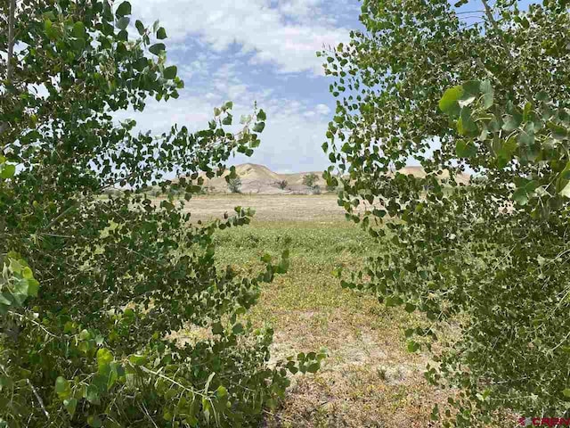 Listing photo 3 for 6200 Stirrup Creek Rd, Delta CO 81416