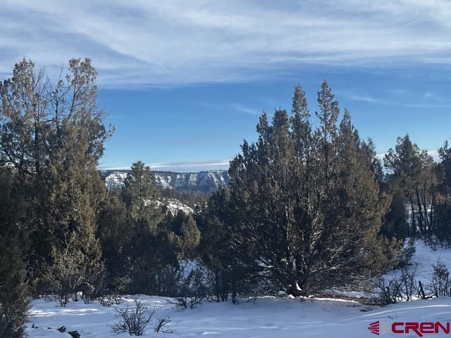 1146 Harvard Ave, Pagosa Springs CO, 81147 land for sale