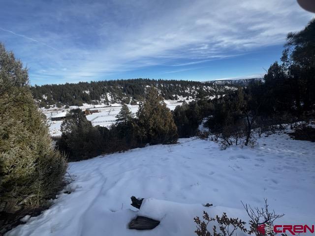 Listing photo 2 for 1146 Harvard Ave, Pagosa Springs CO 81147