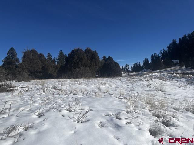 64 Bradley Pl, Pagosa Springs CO, 81147 land for sale