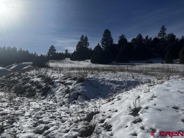 Listing photo 3 for 64 Bradley Pl, Pagosa Springs CO 81147