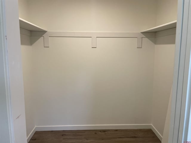 spacious closet featuring dark wood-style floors