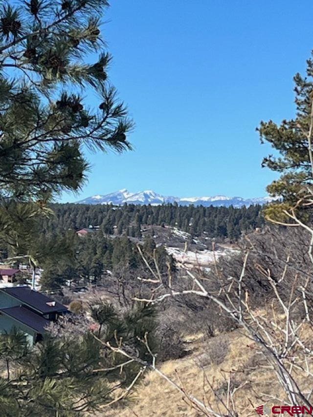 80 Poplar Ct, Pagosa Springs CO, 81147 land for sale