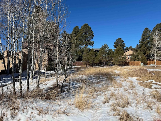 278 Park Ave, Pagosa Springs CO, 81147 land for sale