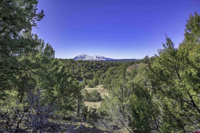 mountain view with a wooded view