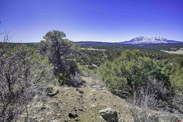 mountain view