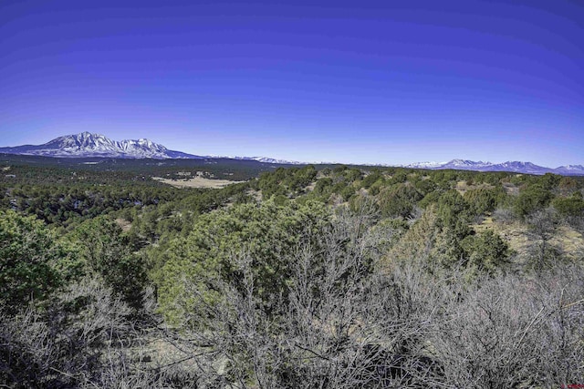 view of mountain feature featuring a forest view