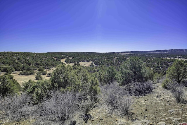 view of landscape featuring a view of trees
