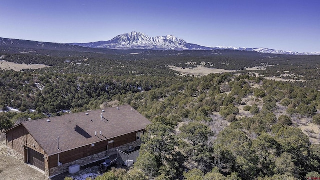 drone / aerial view featuring a mountain view and a forest view