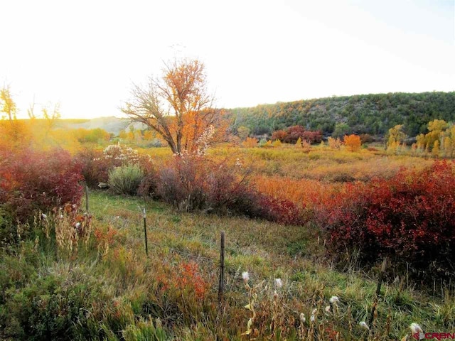 TBD 330 Highway, Collbran, CO 81624