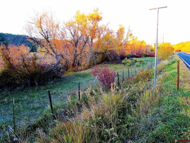 TBD 330 Highway, Collbran, CO 81624