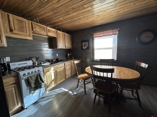 kitchen with wooden ceiling, a sink, gas range gas stove, and dark wood-style flooring