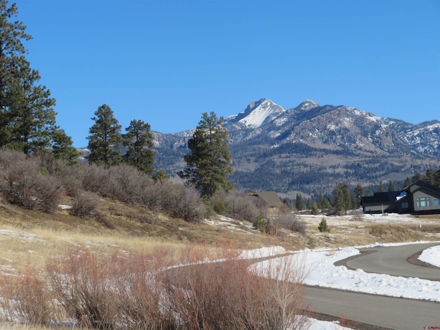 Listing photo 2 for 470 Lucas Blvd, Pagosa Springs CO 81147