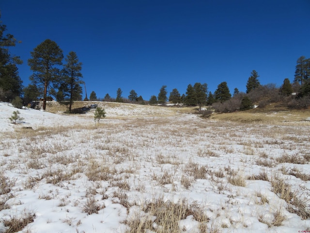 Listing photo 3 for 470 Lucas Blvd, Pagosa Springs CO 81147