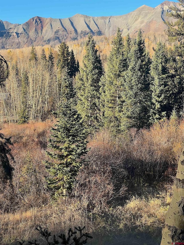 530 Elk Run, Telluride CO, 81435 land for sale