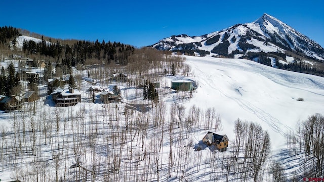 43 Ruby Dr, Mount Crested Butte CO, 81225 land for sale