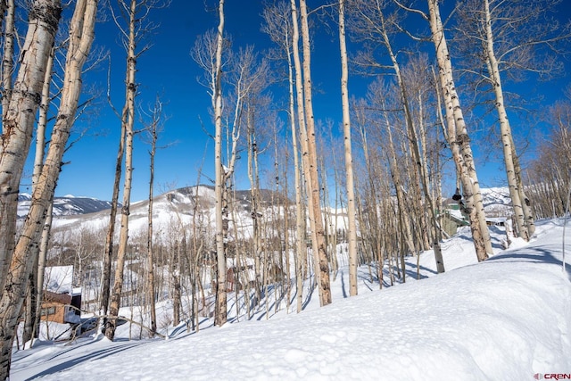 Listing photo 2 for 43 Ruby Dr, Mount Crested Butte CO 81225