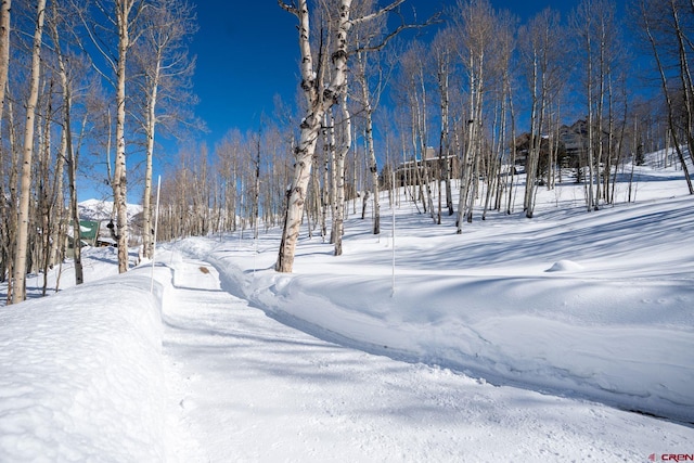 Listing photo 3 for 43 Ruby Dr, Mount Crested Butte CO 81225