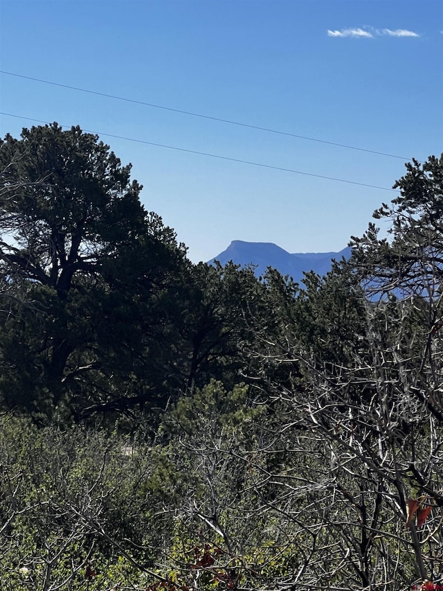 view of mountain feature