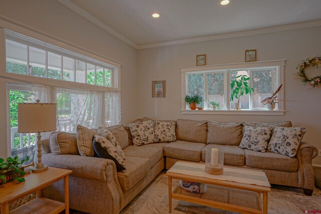 living room featuring ornamental molding and recessed lighting