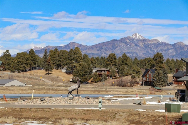 view of mountain feature