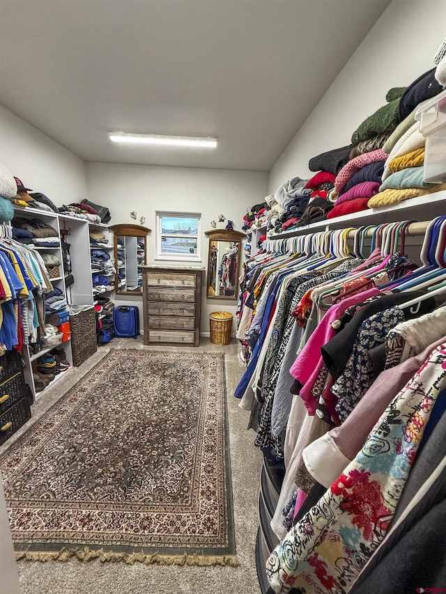 view of walk in closet