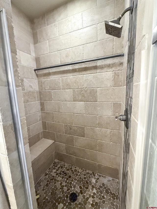 bathroom featuring a shower stall