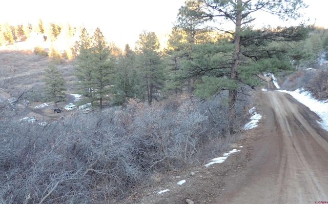 222 Pineridge Trl, Pagosa Springs CO, 81147 land for sale