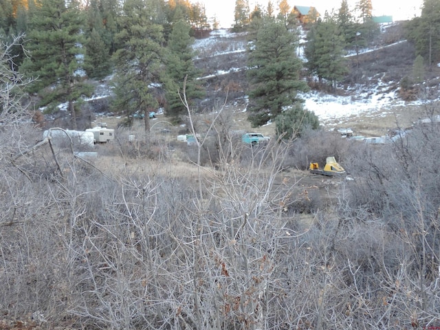 Listing photo 3 for 367 Echo Ln, Pagosa Springs CO 81147