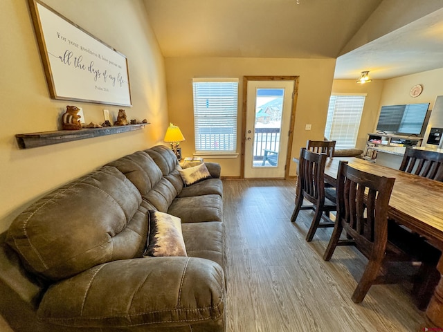 living area featuring lofted ceiling and wood finished floors